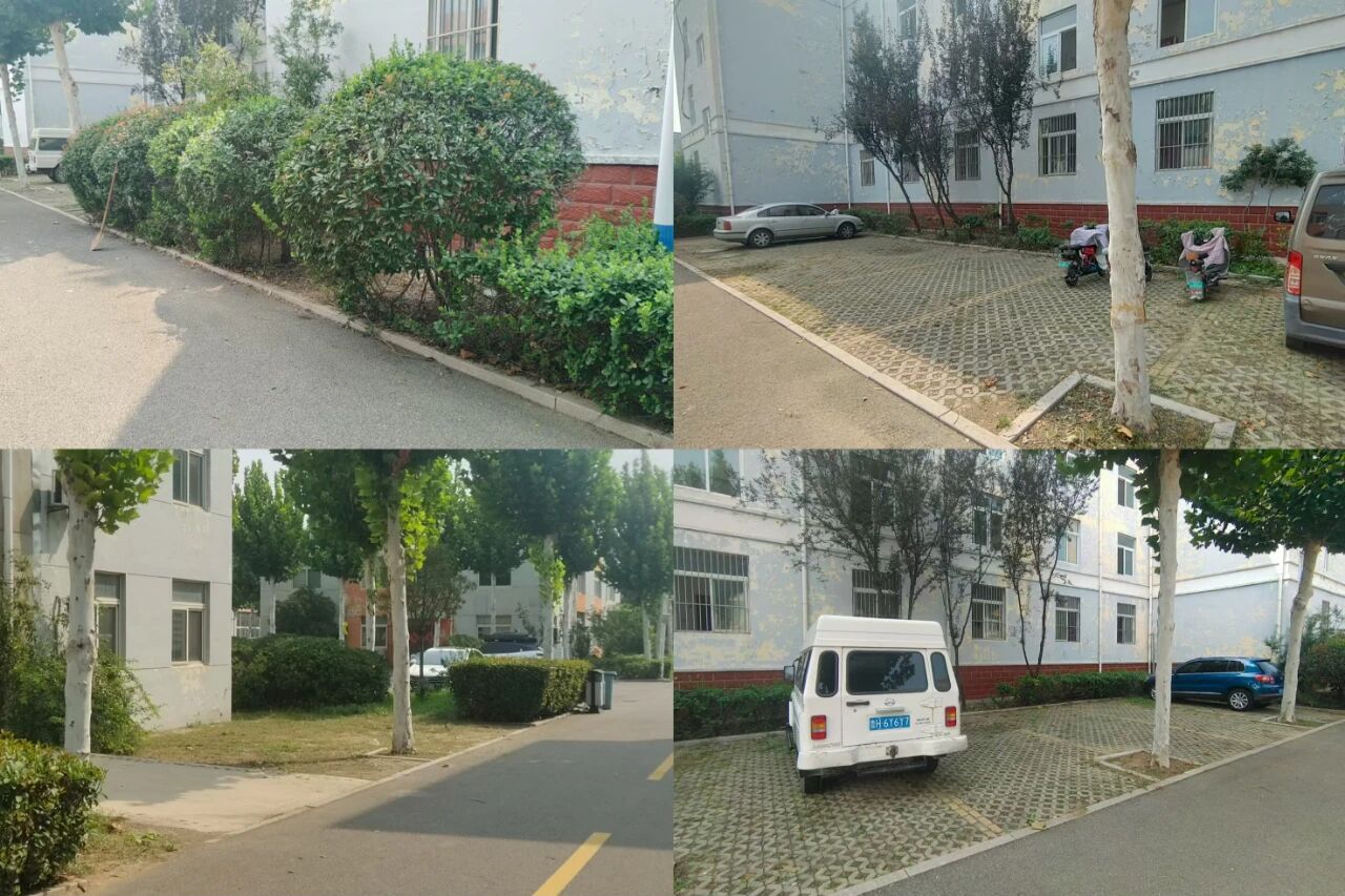 【鲁南电商】共建斑斓园区，咱们在步履！1